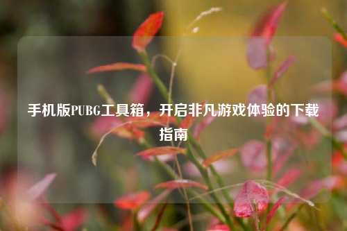 手机版PUBG工具箱,开启非凡游戏体验的下载指南