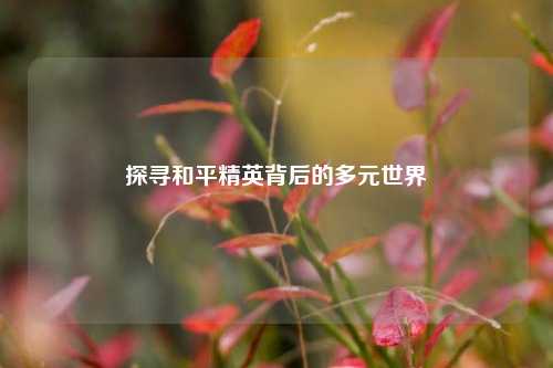 探寻和平精英背后的多元世界