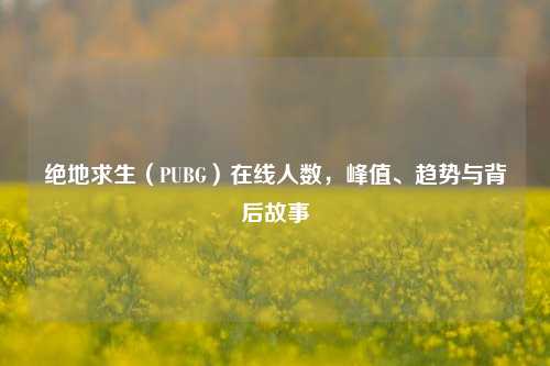绝地求生(PUBG)在线人数,峰值、趋势与背后故事