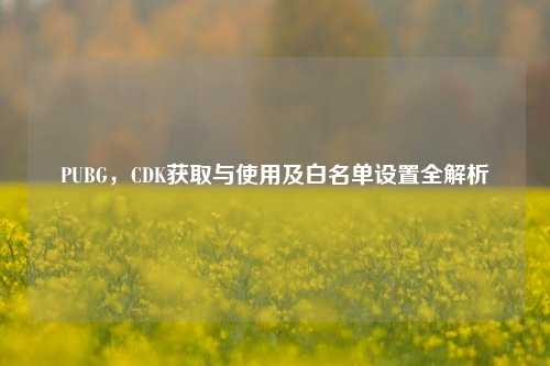 PUBG,CDK获取与使用及白名单设置全解析