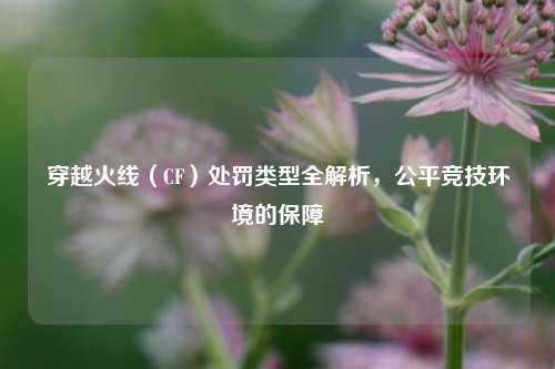穿越火线(CF)处罚类型全解析,公平竞技环境的保障