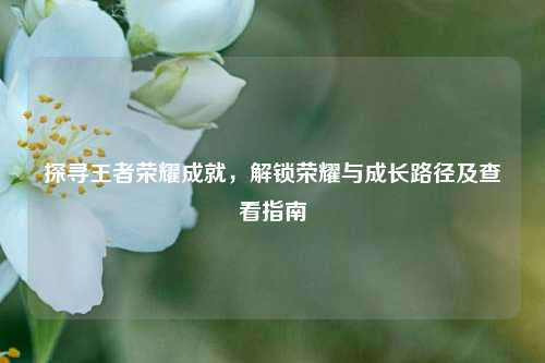 探寻王者荣耀成就,解锁荣耀与成长路径及查看指南