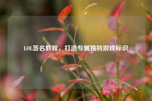 LOL签名教程,打造专属独特游戏标识