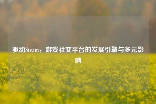 驱动Steam,游戏社交平台的发展引擎与多元影响