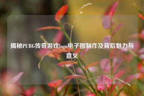 揭秘PUBG传奇游戏logo电子图 及背后魅力与意义