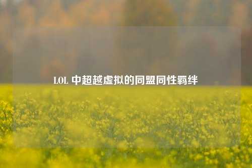 详细阅读:LOL 中超越虚拟的同盟同性羁绊 LOL 中超越虚拟的同盟同性羁绊