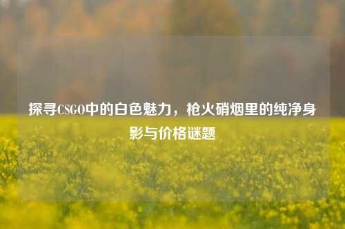 探寻CSGO中的白色魅力,枪火硝烟里的纯净身影与价格谜题