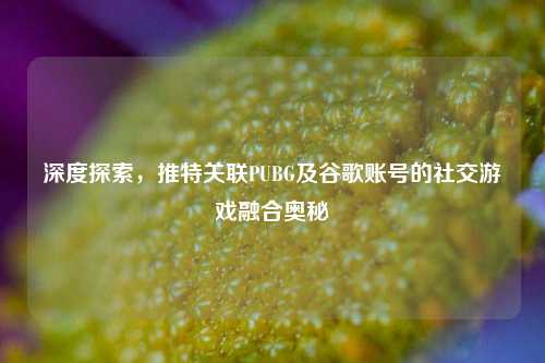 深度探索,推特关联PUBG及谷歌账号的社交游戏融合奥秘