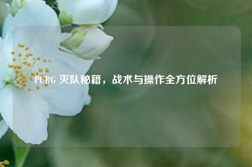 PUBG 灭队秘籍,战术与操作全方位解析