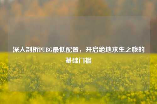 深入剖析PUBG更低配置,开启绝地求生之旅的基础门槛
