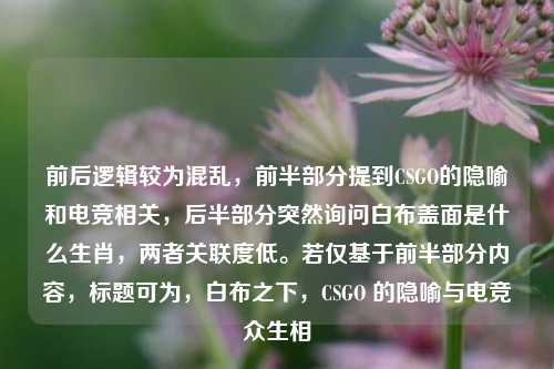 前后逻辑较为混乱,前半部分提到CSGO的隐喻和电竞相关,后半部分突然询问白布盖面是什么生肖,两者关联度低。若仅基于前半部分内容,标题可为,白布之下,CSGO 的隐喻与电竞众生相