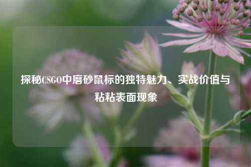 探秘CSGO中磨砂鼠标的独特魅力、实战价值与粘粘表面现象