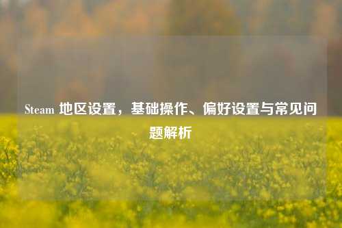Steam 地区设置,基础操作、偏好设置与常见问题解析