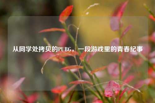 从同学处拷贝的PUBG,一段游戏里的青春纪事