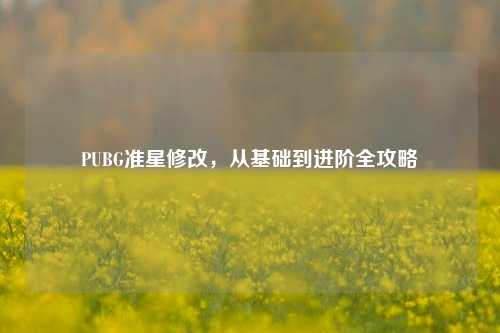 PUBG准星修改,从基础到进阶全攻略
