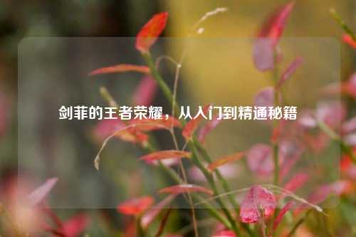 剑菲的王者荣耀,从入门到精通秘籍