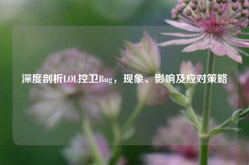 深度剖析LOL控卫Bug,现象、影响及应对策略