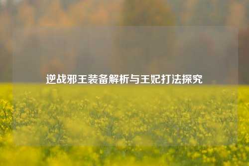 逆战邪王装备解析与王妃打法探究