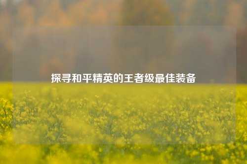 探寻和平精英的王者级更佳装备