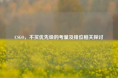 CSGO,不买优先级的考量及排位相关探讨