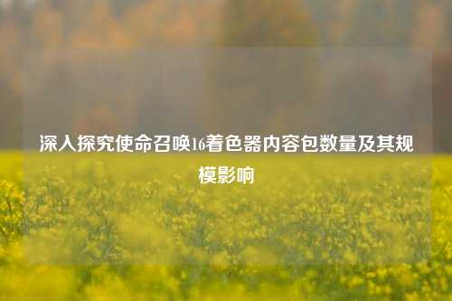 深入探究使命召唤16着色器内容包数量及其规模影响