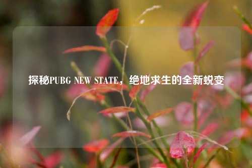 探秘PUBG NEW STATE,绝地求生的全新蜕变