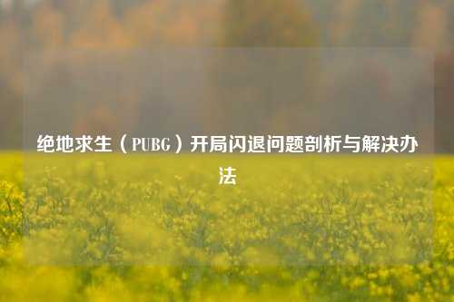 详细阅读:绝地求生(PUBG)开局闪退问题剖析与解决办法 绝地求生(PUBG)开局闪退问题剖析与解决办法