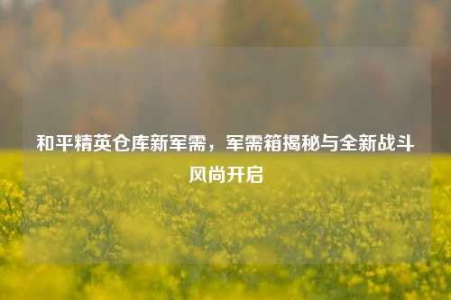 和平精英仓库新军需,军需箱揭秘与全新战斗风尚开启