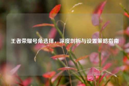 王者荣耀号角选择,深度剖析与设置策略指南