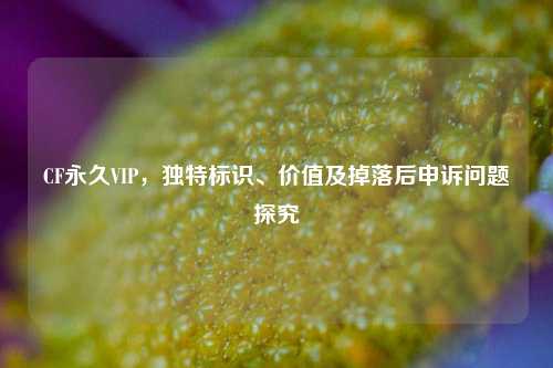 CF永久VIP,独特标识、价值及掉落后申诉问题探究