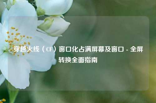 穿越火线(CF)窗口化占满屏幕及窗口 - 全屏转换全面指南