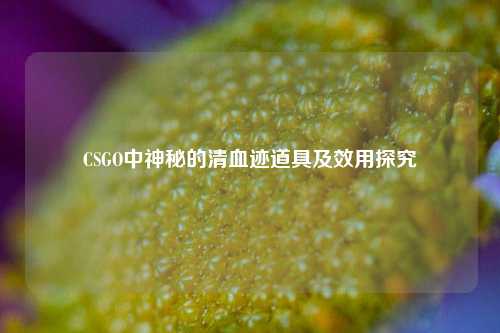 CSGO中神秘的清血迹道具及效用探究