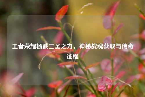 王者荣耀杨戬三圣之力,神秘战魂获取与传奇征程
