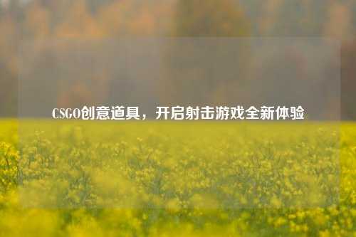 CSGO创意道具,开启射击游戏全新体验