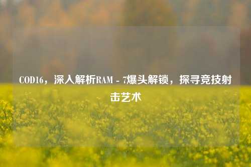 COD16,深入解析RAM - 7爆头解锁,探寻竞技射击艺术
