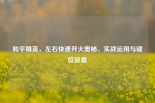 和平精英,左右快速开火奥秘、实战运用与键位设置