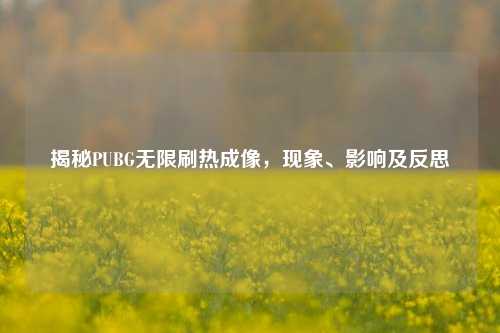 揭秘PUBG无限刷热成像,现象、影响及反思