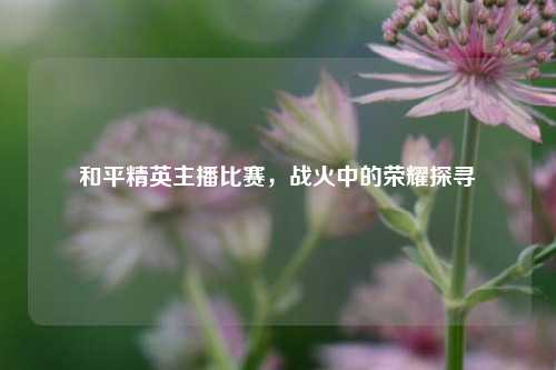 和平精英主播比赛,战火中的荣耀探寻