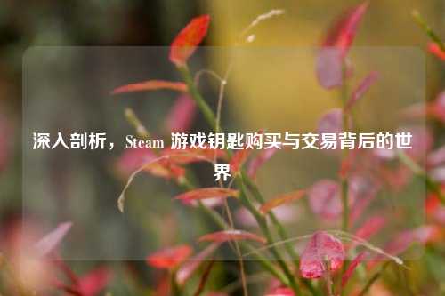 深入剖析,Steam 游戏钥匙购买与交易背后的世界