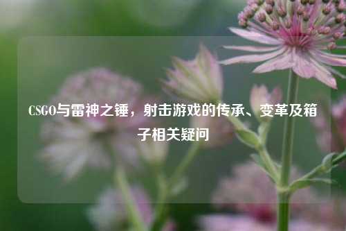 CSGO与雷神之锤,射击游戏的传承、变革及箱子相关疑问