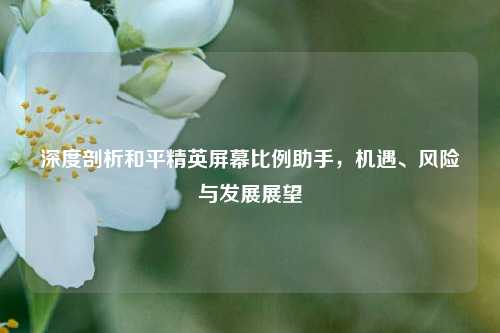 深度剖析和平精英屏幕比例助手,机遇、风险与发展展望
