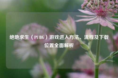 绝地求生(PUBG)游戏进入 、流程及下载位置全面解析