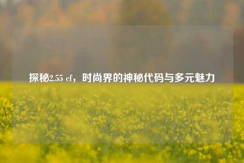 探秘2.55 cf,时尚界的神秘代码与多元魅力