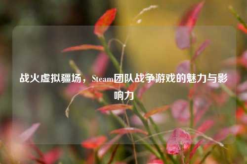 战火虚拟疆场,Steam团队战争游戏的魅力与影响力