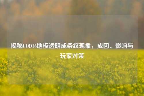 揭秘COD16地板透明成条纹现象,成因、影响与玩家对策