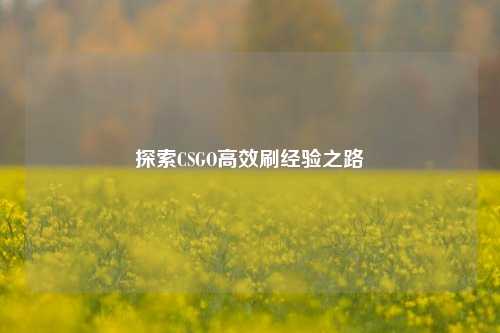 探索CSGO高效刷经验之路