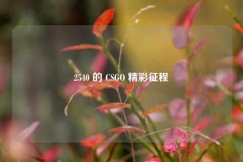详细阅读:2540 的 CSGO 精彩征程 2540 的 CSGO 精彩征程