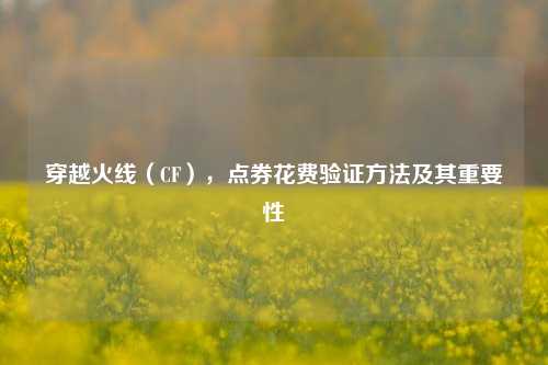 穿越火线(CF),点券花费验证 及其重要性