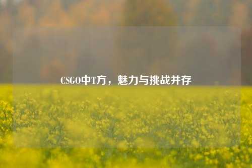 CSGO中T方,魅力与挑战并存