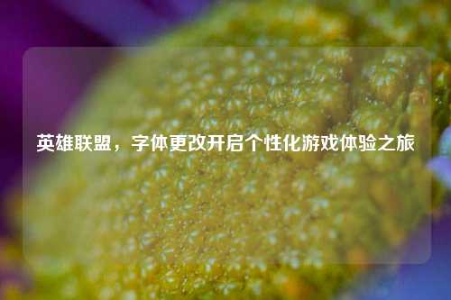 英雄联盟,字体更改开启个性化游戏体验之旅